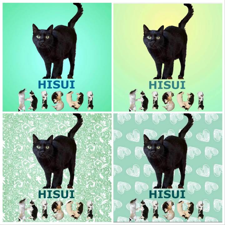 E7a87cea dda2 437e a99d e56a693aa242 1668911918470