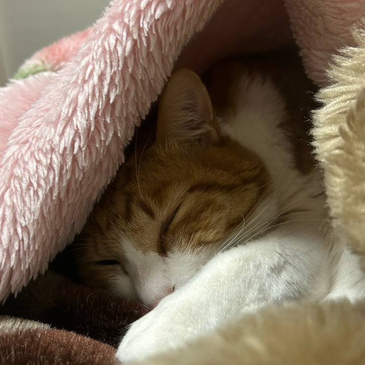 E7a89984 95bb 4f52 835e e1bea806edbc 1770674629317