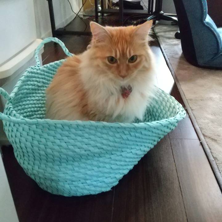 E7a8b936 dd94 413f bcd4 c33e29c422df 1650837381351