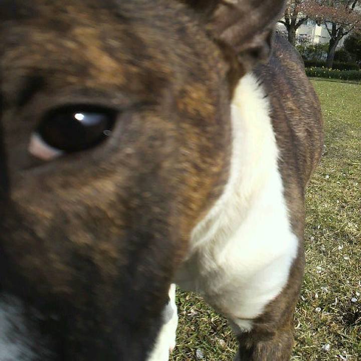 E7a8bec9 c037 4122 9094 2c5e80dba5c7 1585962123238