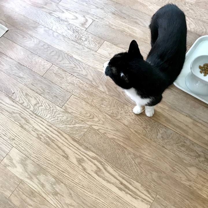 E7a8c078 26cd 438e 8ace 6c8771f284e7 1563708740145