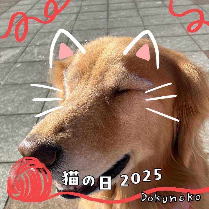 E7a8ebb4 31c6 49e3 bd74 0a627d80ee96 1740154745912