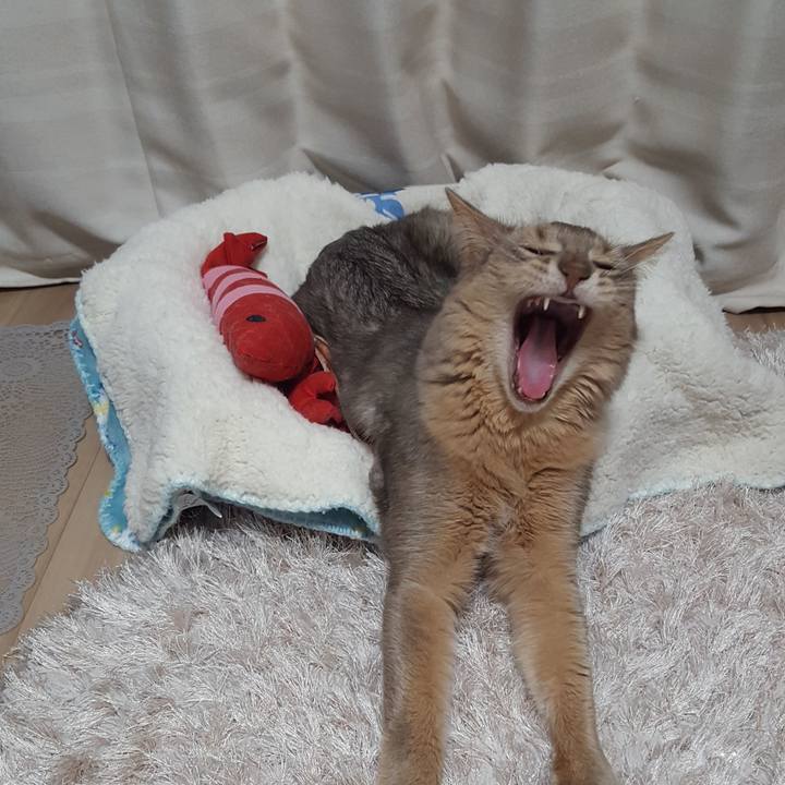 E7a90d8b 938c 4e1e be37 b55ce8726675 1587281336604