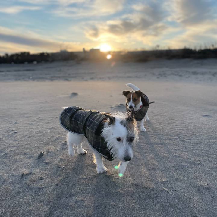 E7a9127f 23f8 4a50 9cd7 63d878b09825 1768000799947