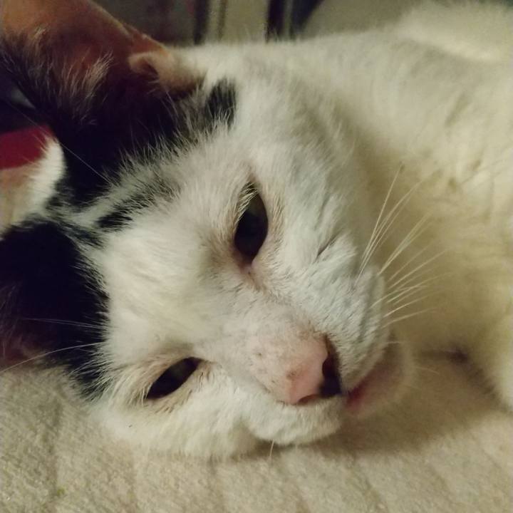 E7a925af 03bc 4236 a81d c9130126ccf6 1725873450459