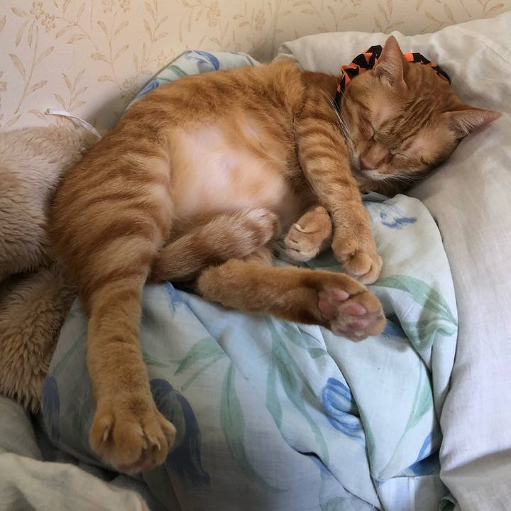 E7a92c9d 8179 4a1e a009 a9fe0910ee9d 1571720120300