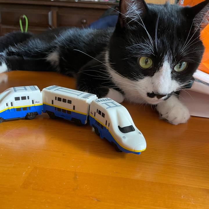 E7a94af7 a3ce 4501 bbe1 a77592c80607 1660181665773