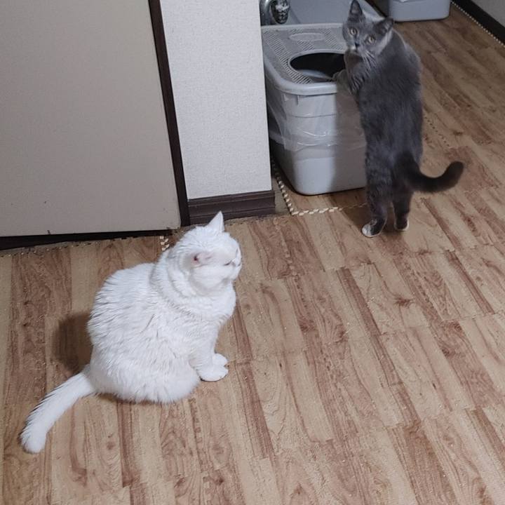 E7a94f7e c1de 45c0 841b 415c10fccaa3 1739278080705