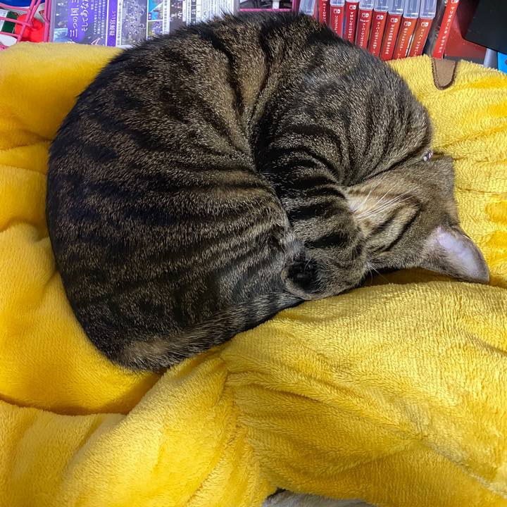 E7a96472 ff53 4aec a086 c1a28644c4fb 1588727751447