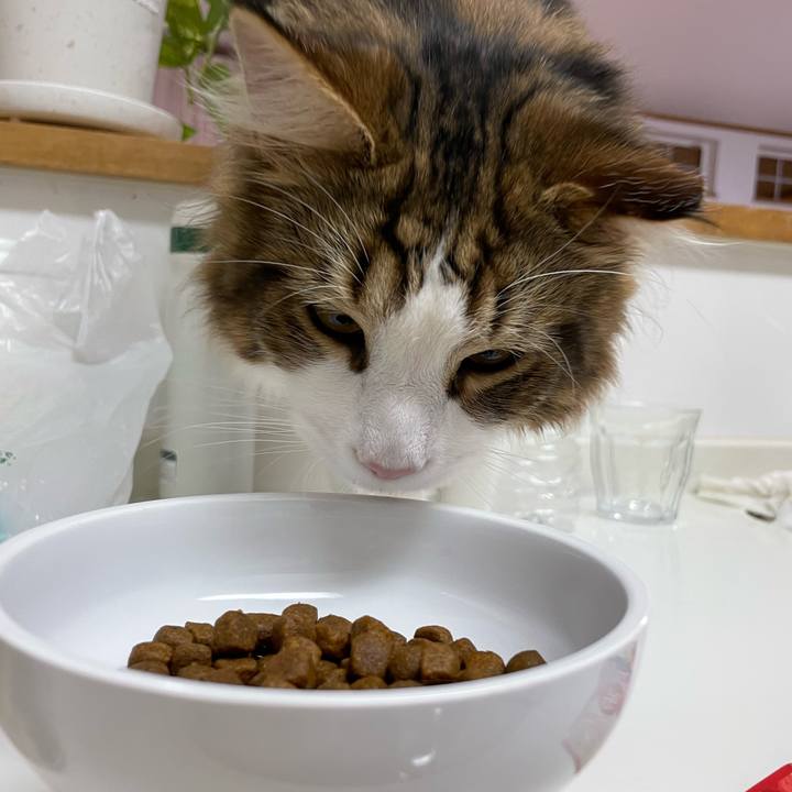 E7a98407 a606 41ef 84a0 30292113d2da 1647461417299