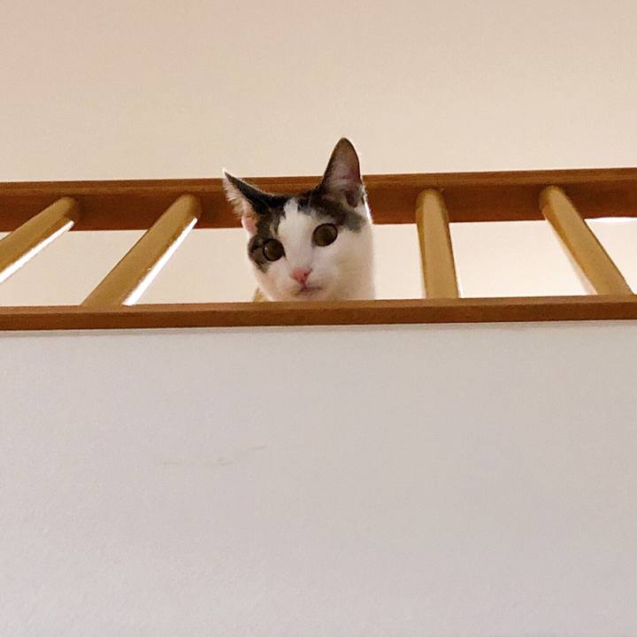 E7a984c6 3ae0 4d06 94d2 9d10525436e6 1578123713166