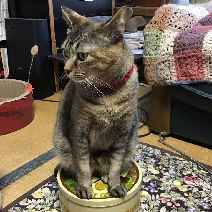 E7a9856d 0047 4dc0 a924 1753b028fab7 1684231918837