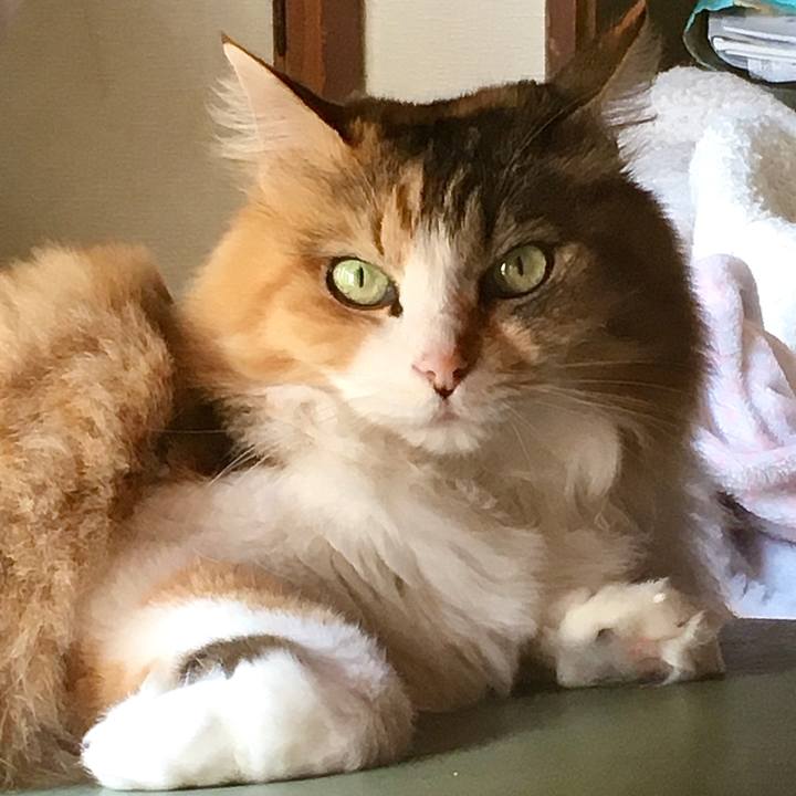 E7a9a92b 3630 40c9 a5f9 d657e2339eaa 1622708008750