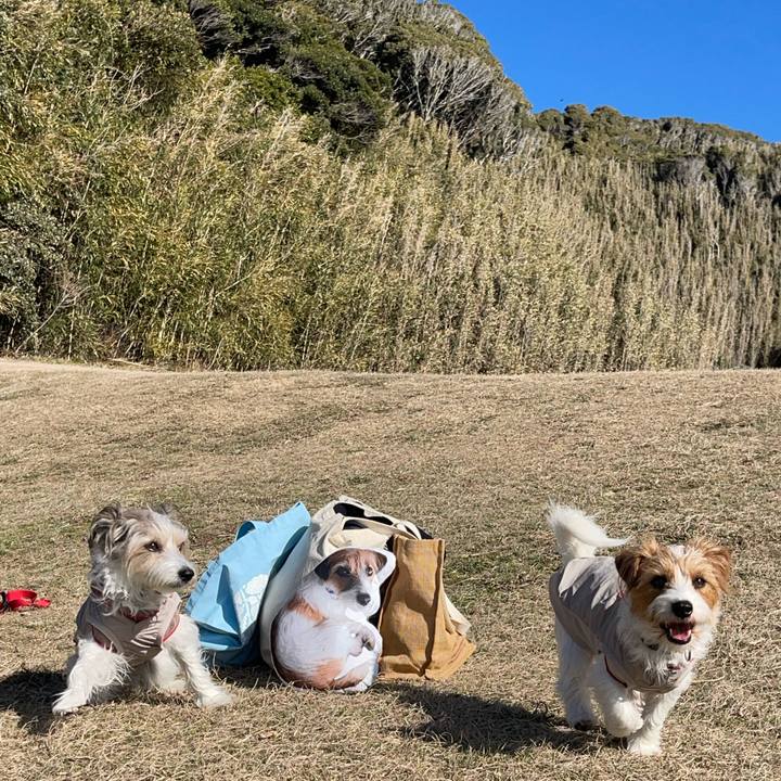 E7a9b7a3 8d70 4c36 a655 5ce9909ccdfe 1768396377268