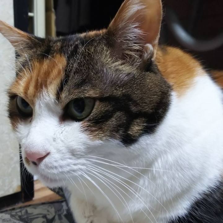 E7a9f47e 5104 489f a44e 95c19b28991e 1576619762122