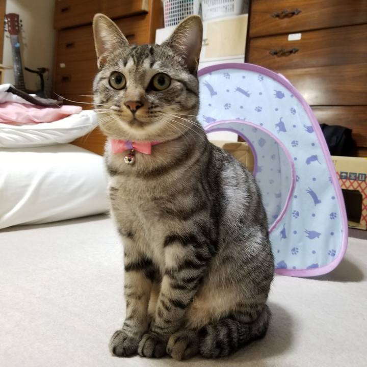 E7aa5b85 025a 4e7e bf8c f22b6b575234 1684241235984