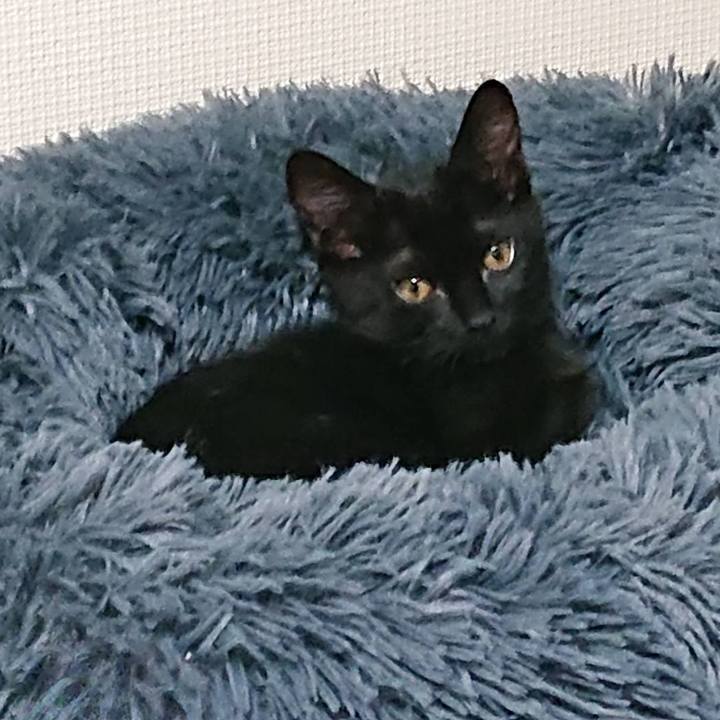 E7aa64a5 3ef4 4d71 8db8 f7bc9cd51095 1598004367942