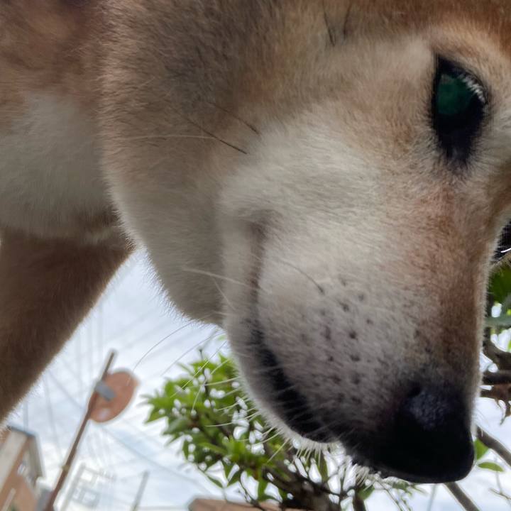 E7aaa316 b7d3 43f9 889d 9aff6514bdb5 1658839563953