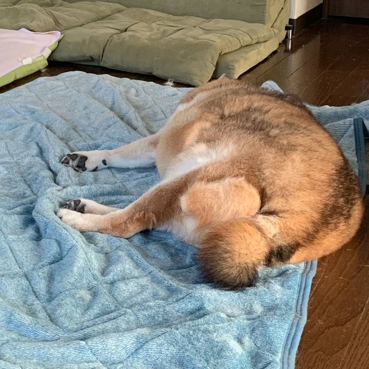 E7aaa3d3 c107 4173 8670 7eafda4f9a23 1672467547227