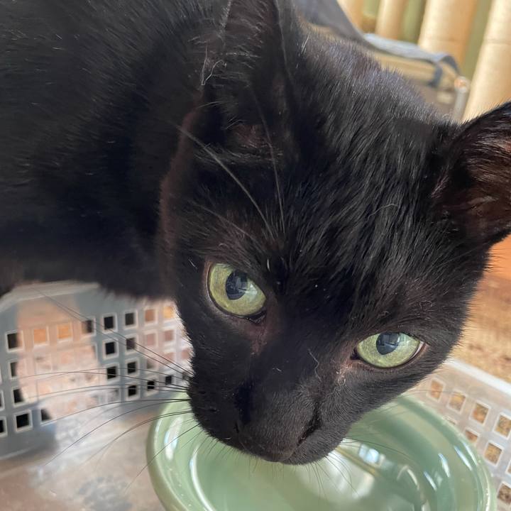 E7aaf289 1934 4cba a9c0 c4268e33684c 1633569106584