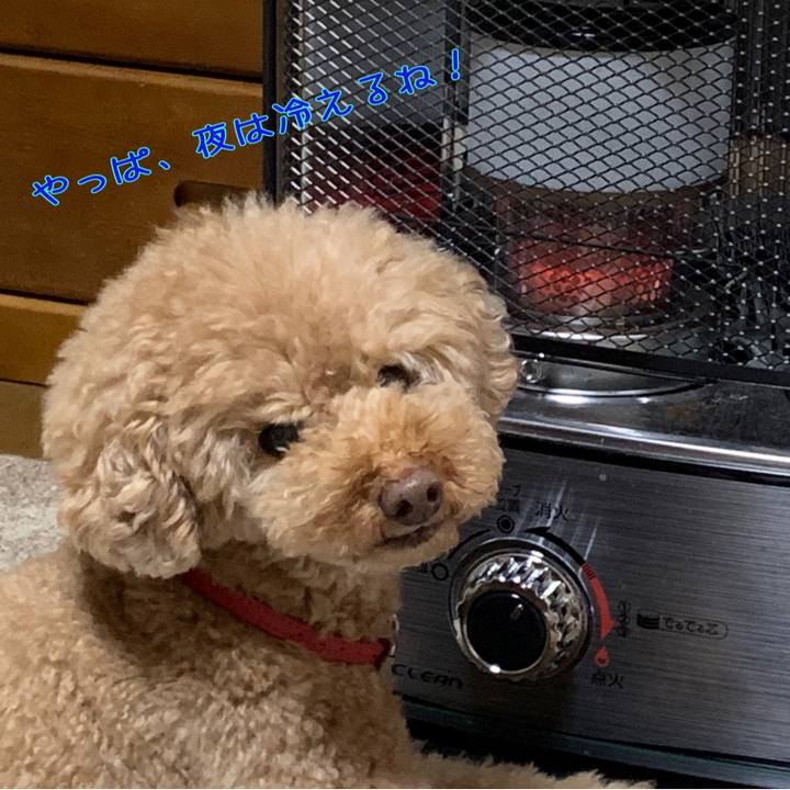 E7aafbd0 99e0 4551 a384 49a0f7f9de04 1551185644041