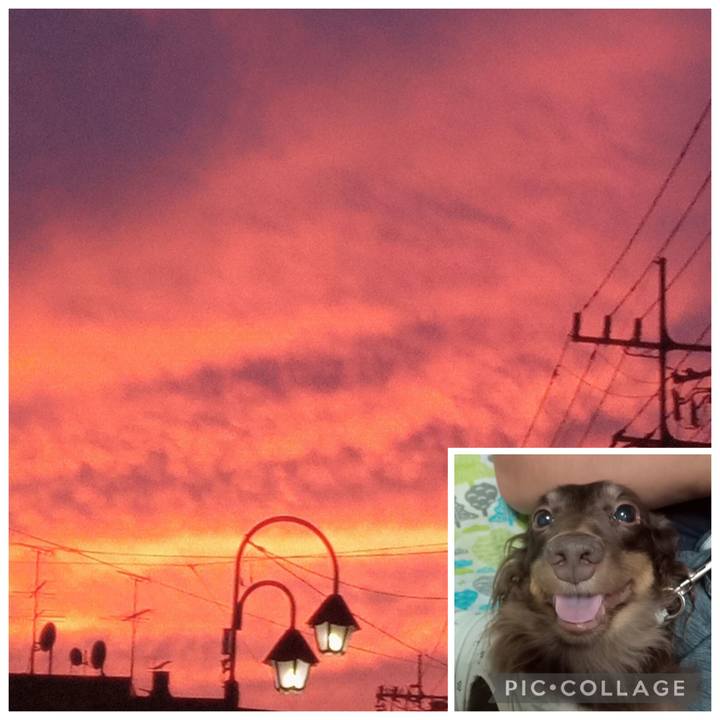 E7ab282a 5042 4a71 9ae5 0b0c6c35dfb9 1756936401585