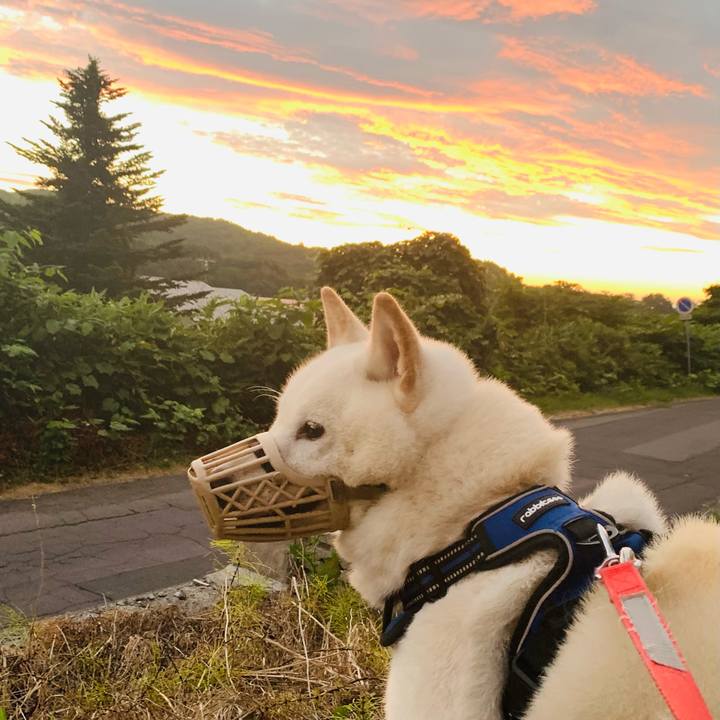 E7ab53e3 bc98 42bd b38c f68adb89e717 1627502275693