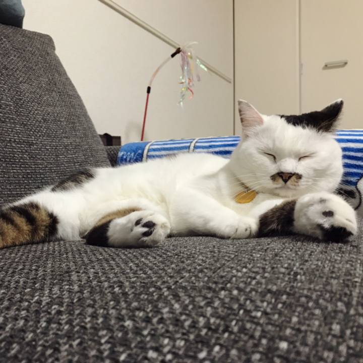 E7ab5be2 0831 431b 9384 75493d73ec64 1569749784546