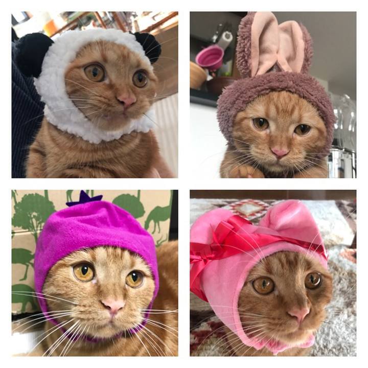 E7abae2e 61ea 4c76 8cc3 673a3312196d 1519257801803