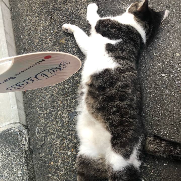 E7abfd52 6580 4b06 a970 805adc026db9 1596290820046