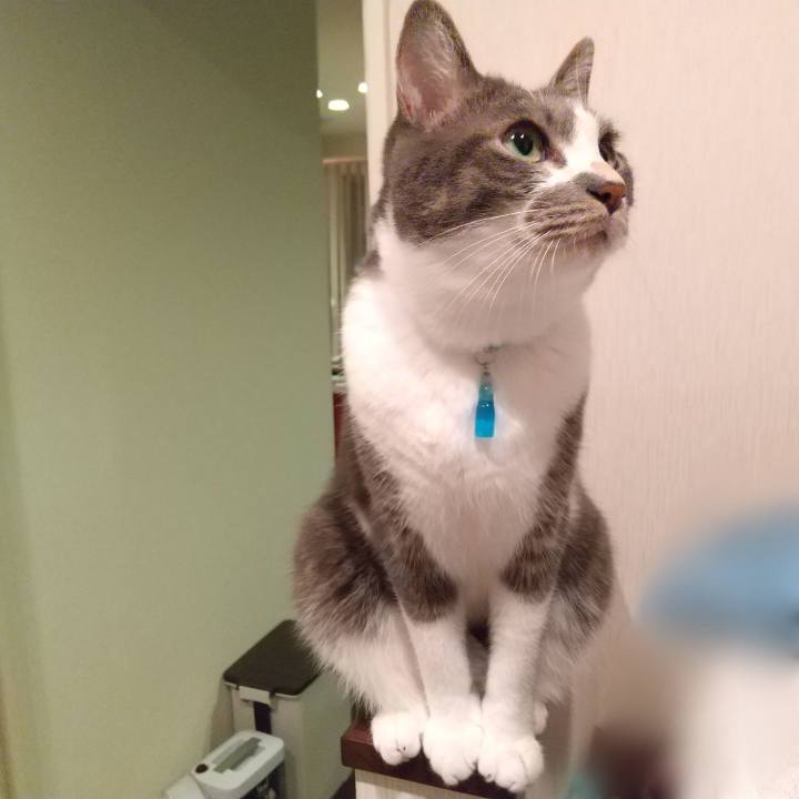 E7ac0e59 6f01 4098 b75f 744d2a4f6df0 1631539234598