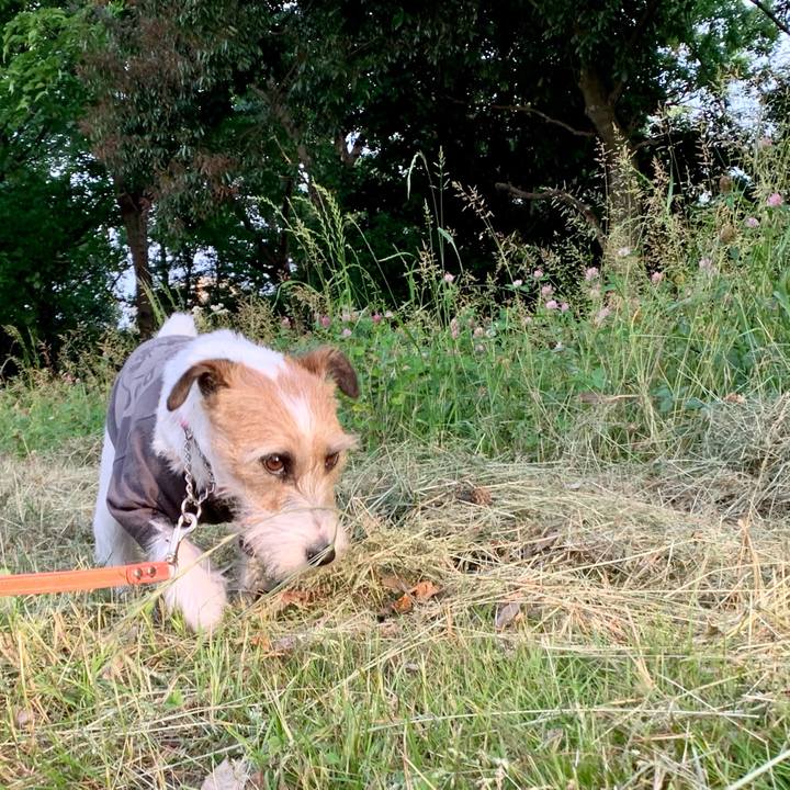 E7ac8429 b2b4 498a b283 f45a1bbe160c 1621933504303