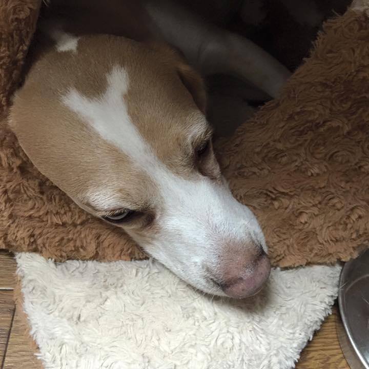 E7ace5f3 d6d4 4744 b127 0b0209485804 1594441723049