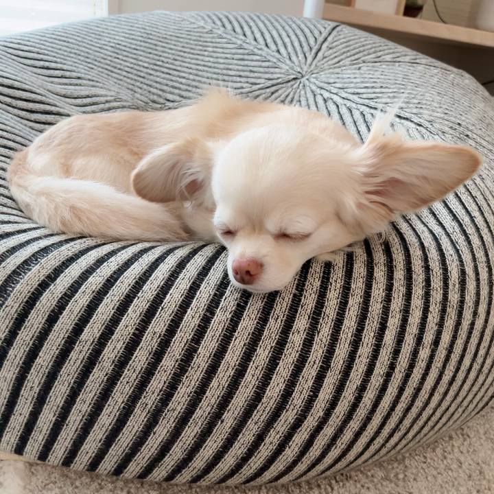 E7ad2c06 77b2 411b 8849 a4a7e7731792 1720343834092