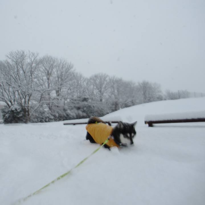 E7ad35e4 3dee 4ba8 9ea6 6e3686d44492 1675050157247