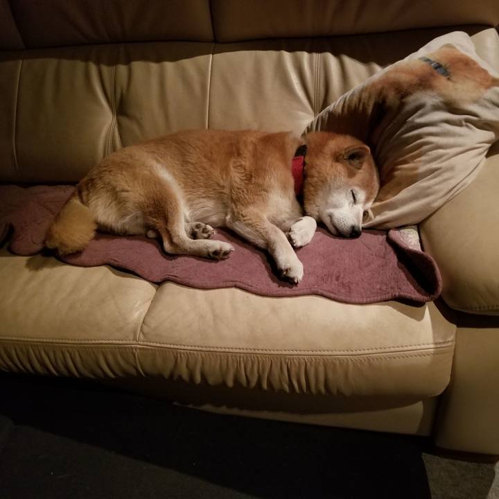 E7ad8628 76af 4901 b061 b7f33228ea96 1733925091561