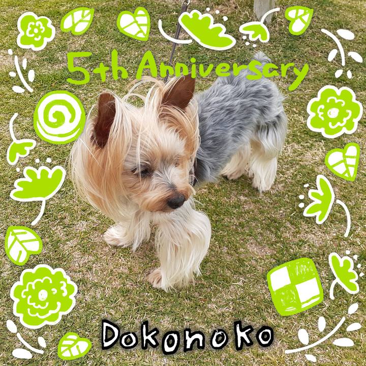 E7ad9c9f 19e4 4018 ac5d 347d556fa0cf 1622875208422