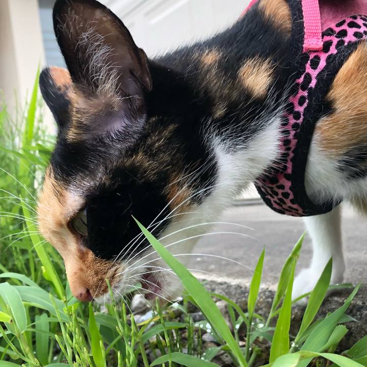 E7adcdf4 7117 4d8b 9888 d574af58ed7c 1530937913756