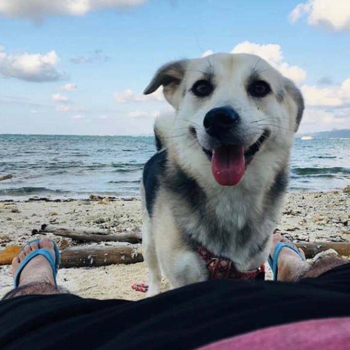 E7add5b4 6a82 4741 b435 2d2300a99b5d 1541223755190