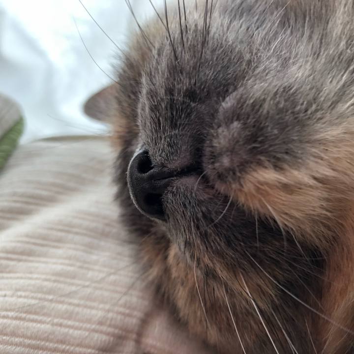 E7ade896 65b0 489b aa4e ad90482fc1f7 1546230821422