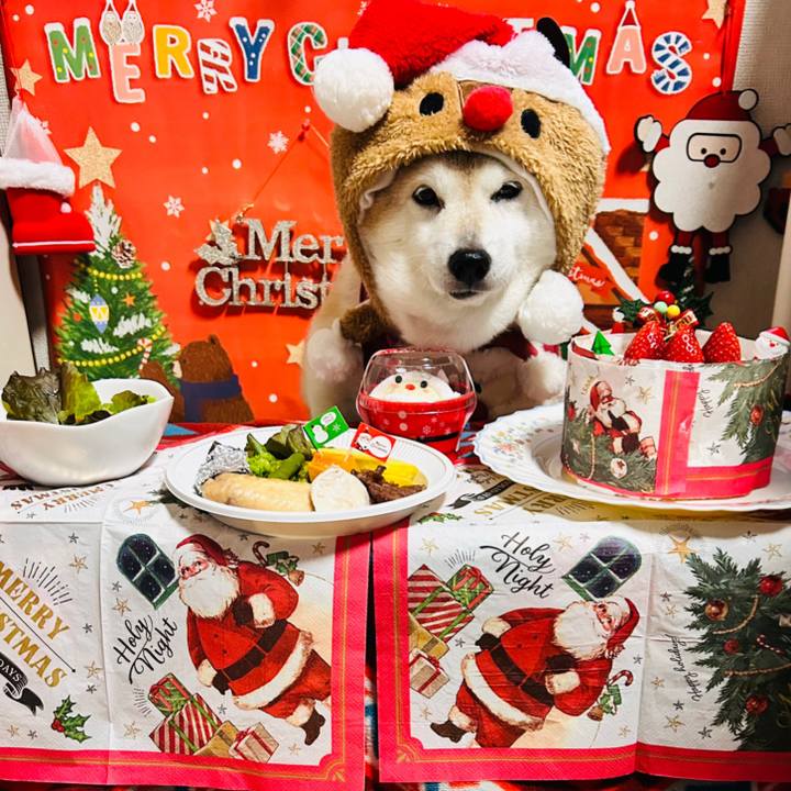 E7adeca6 486c 4cc4 8217 8cab7d7f9adf 1735086099487