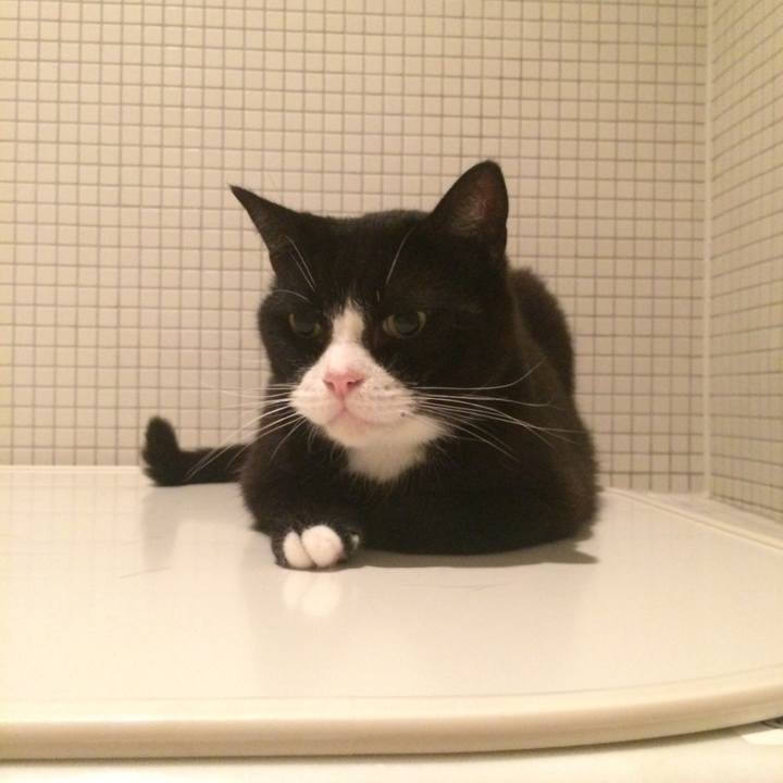 E7adf08e 2eda 49ea 8f00 70e98d61b258 1533044632766