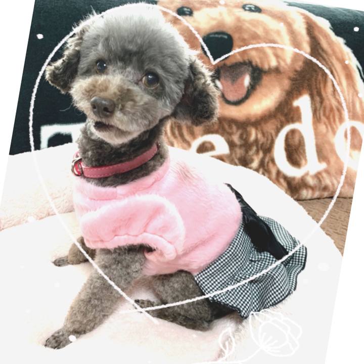 E7ae4191 aa5e 4e82 975d 5f8a73b29e33 1640587025477