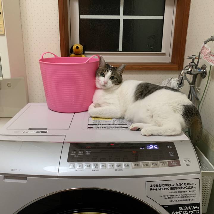 E7ae6358 5169 42d0 99c6 3414fb3791cf 1648072684176