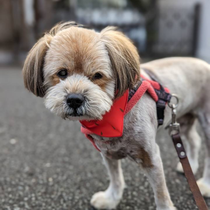 E7ae6eae 6c41 4ab5 9738 dbdadb88e296 1715034580289