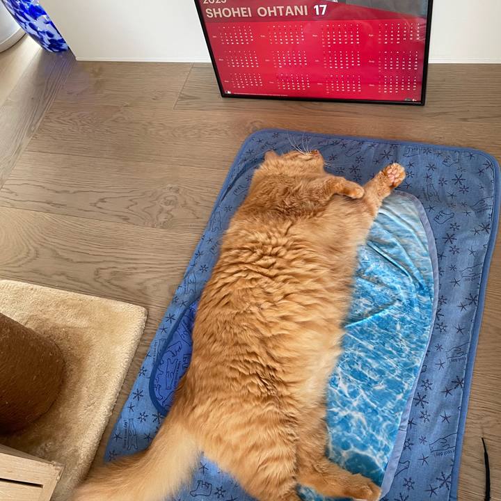 E7ae9e85 b6de 46b5 8c9b 18732de4f6ee 1760399474087