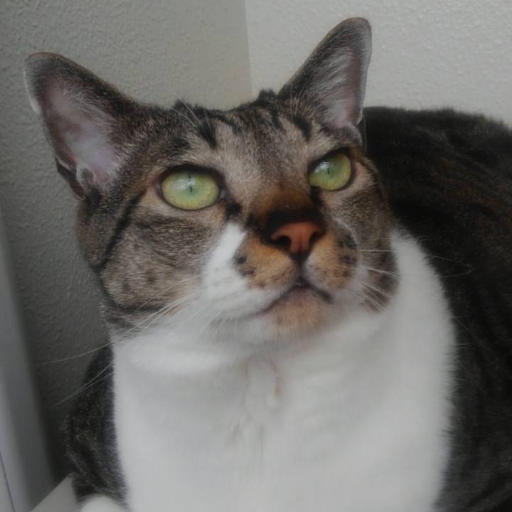 E7aeb669 2117 4185 8148 0719713e6d13 1559774523981