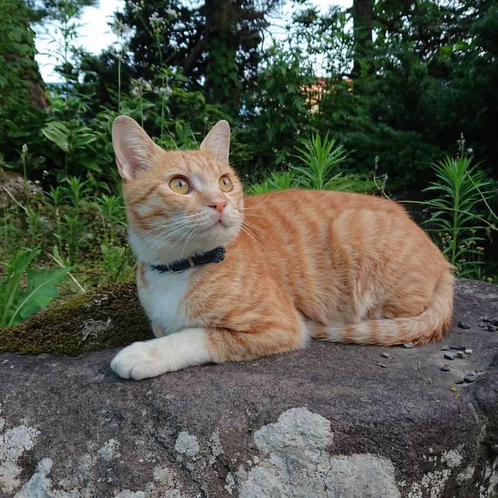 E7aedf20 bb27 4e36 be00 374d866a4a59 1562754992173