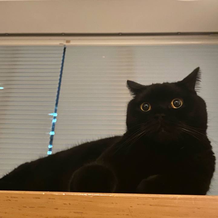 E7aef641 564a 48aa aa39 79a7ac01754c 1760611024901