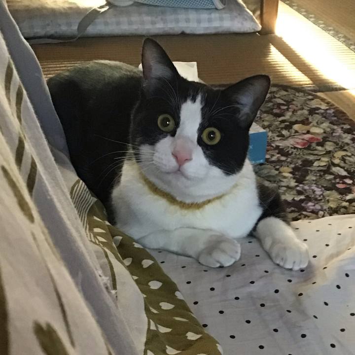 E7af0b09 2f36 480c 9d43 96f74a41f2fd 1648890622972